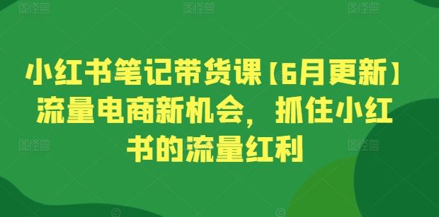 小红书笔记带货课【6月更新】流量电商新机会，抓住小红书的流量红利-凌秋网创
