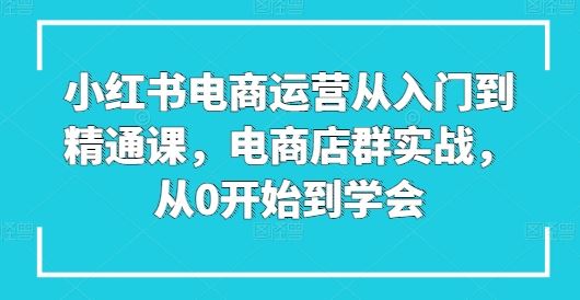 小红书电商运营从入门到精通课，电商店群实战，从0开始到学会-凌秋网创