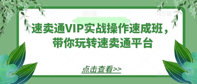 速卖通VIP实战操作速成班，带你玩转速卖通平台-凌秋网创