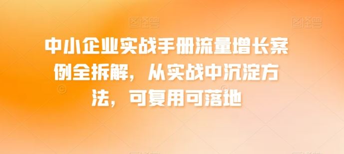 中小企业实战手册流量增长案例全拆解，从实战中沉淀方法，可复用可落地-凌秋网创