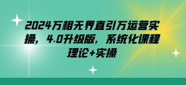 2024万相无界直引万运营实操，4.0升级版，系统化课程 理论+实操-凌秋网创