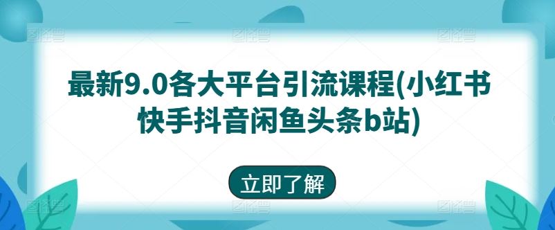 最新9.0各大平台引流课程(小红书快手抖音闲鱼头条b站)-凌秋网创