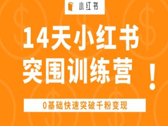 14天小红书突围训练营 ，0基础快速突破千粉变现-凌秋网创