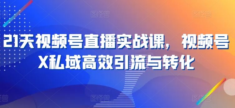 21天视频号直播实战课，视频号X私域高效引流与转化-凌秋网创