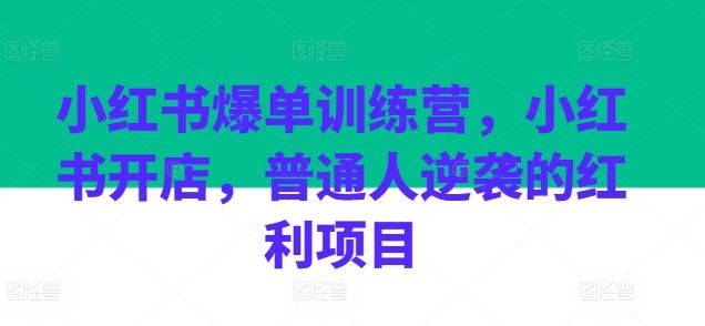 小红书爆单训练营，小红书开店，普通人逆袭的红利项目-凌秋网创