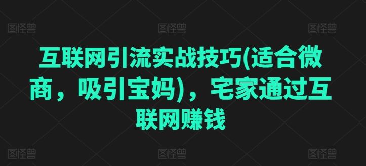 互联网引流实战技巧(适合微商，吸引宝妈)，宅家通过互联网赚钱-凌秋网创
