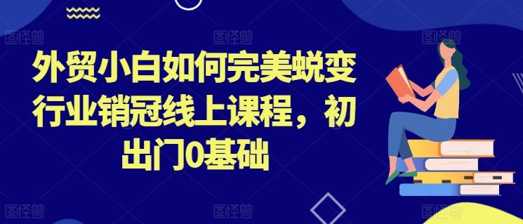 外贸小白如何完美蜕变行业销冠线上课程，初出门0基础-凌秋网创