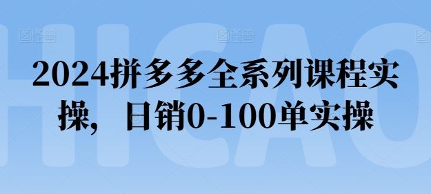 2024拼多多全系列课程实操，日销0-100单实操【必看】-凌秋网创