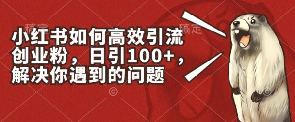 小红书如何高效引流创业粉，日引100+，解决你遇到的问题【揭秘】-凌秋网创