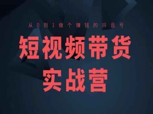 短视频带货实战营(高阶课)，从0到1做个赚钱的抖音号-凌秋网创