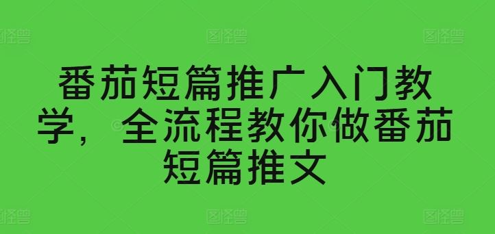 番茄短篇推广入门教学，全流程教你做番茄短篇推文-凌秋网创