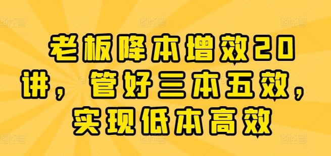 老板降本增效20讲，管好三本五效，实现低本高效-凌秋网创
