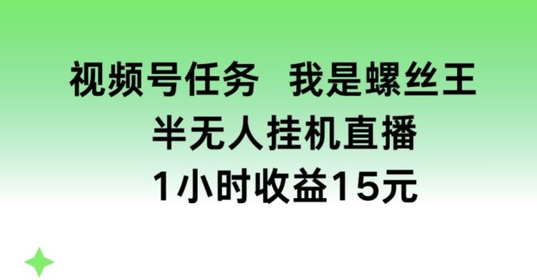 视频号任务，我是螺丝王， 半无人挂机1小时收益15元【揭秘】-凌秋网创
