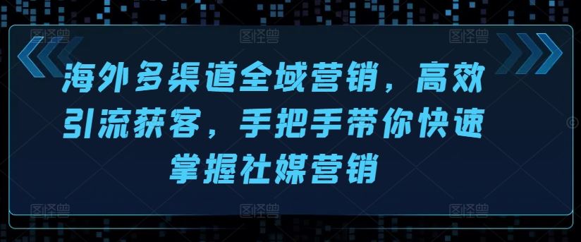 海外多渠道全域营销，高效引流获客，手把手带你快速掌握社媒营销-凌秋网创
