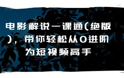 电影解说一课通(绝版)，带你轻松从0进阶为短视频高手-凌秋网创