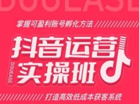 抖音运营实操班，掌握可盈利账号孵化方法，打造高效低成本获客系统-凌秋网创