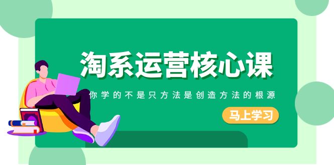 （8392期）淘系-运营核心课，你学的不是只方法是创造方法的根源（190节课）-凌秋网创