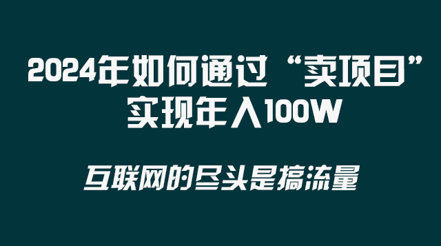 （8382期） 2024年如何通过“卖项目”实现年入100W-凌秋网创