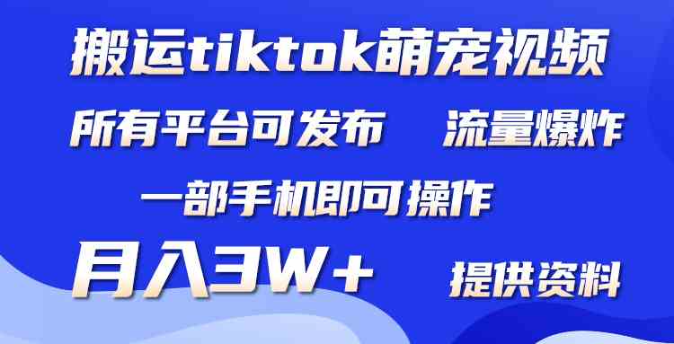（9618期）搬运Tiktok萌宠类视频，一部手机即可。所有短视频平台均可操作，月入3W+-凌秋网创
