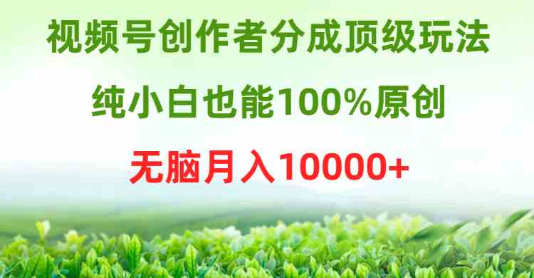 （9608期）视频号创作者分成顶级玩法，纯小白也能100%原创，无脑月入10000+-凌秋网创