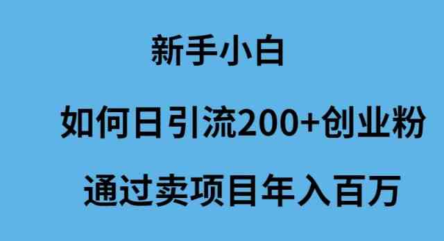 （9668期）新手小白如何日引流200+创业粉通过卖项目年入百万-凌秋网创