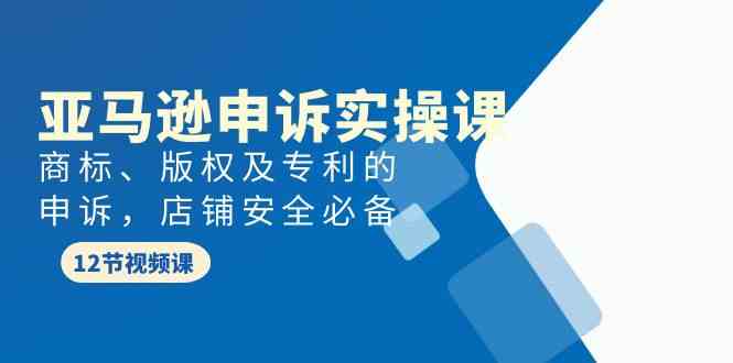 （9754期）亚马逊-申诉实战课，​商标、版权及专利的申诉，店铺安全必备-凌秋网创