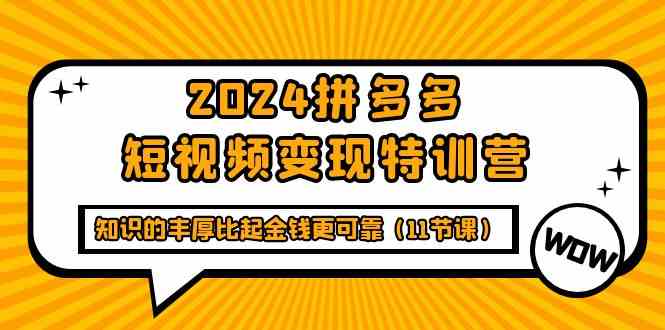 （9817期）2024拼多多短视频变现特训营，知识的丰厚比起金钱更可靠（11节课）-凌秋网创