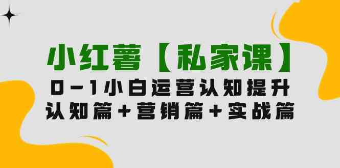 （9910期）小红薯【私家课】0-1玩赚小红书内容营销，认知篇+营销篇+实战篇（11节课）-凌秋网创