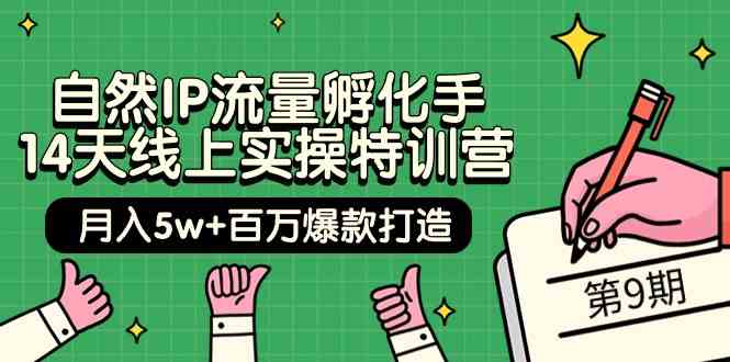 （9881期）自然IP流量孵化手 14天线上实操特训营【第9期】月入5w+百万爆款打造 (74节)-凌秋网创
