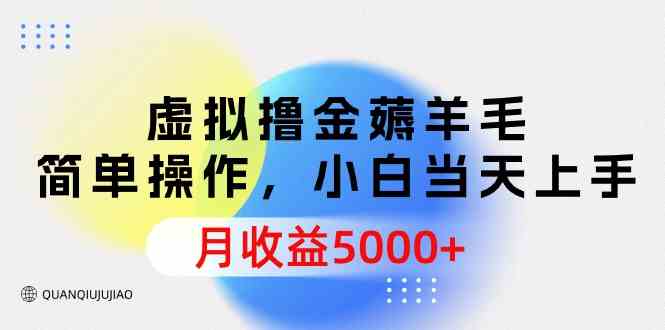 （9864期）虚拟撸金薅羊毛，简单操作，小白当天上手，月收益5000+-凌秋网创