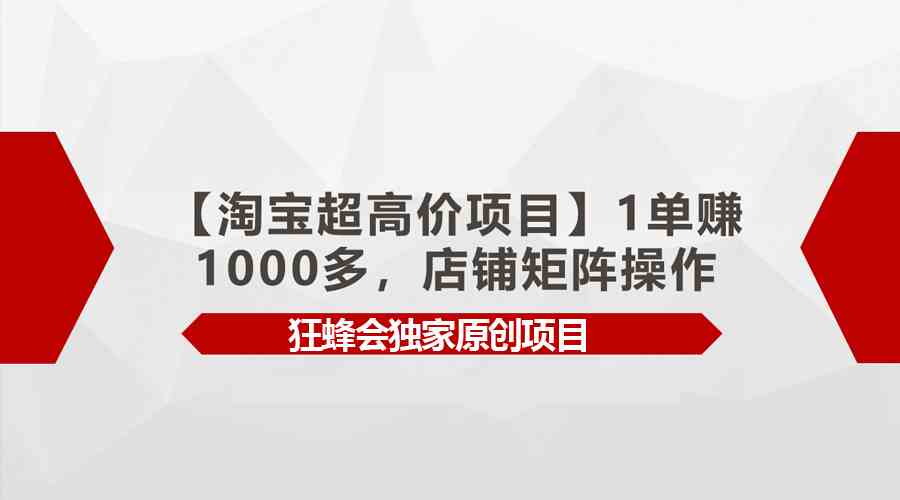 （9849期）【淘宝超高价项目】1单赚1000多，店铺矩阵操作-凌秋网创
