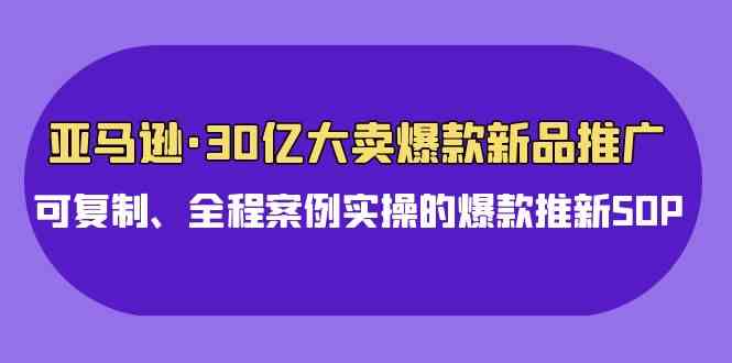 （9944期）亚马逊30亿·大卖爆款新品推广，可复制、全程案例实操的爆款推新SOP-凌秋网创