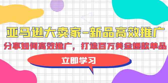 （9945期）亚马逊 大卖家-新品高效推广，分享如何高效推广，打造百万美金爆款单品-凌秋网创