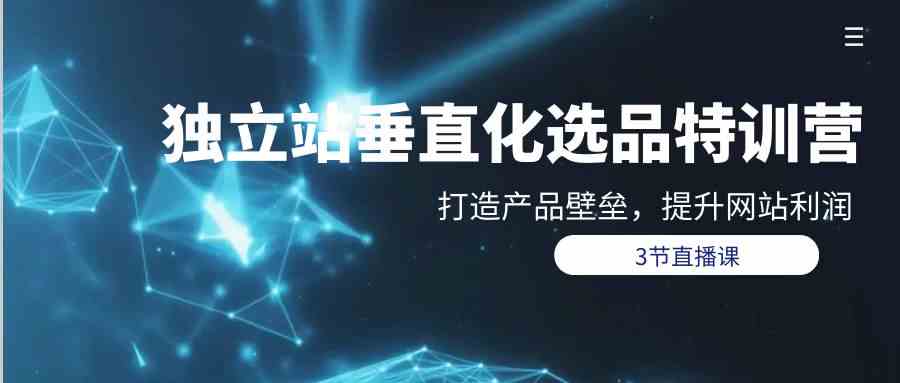 （9925期）独立站-垂直化选品训练营，打造产品壁垒，提升网站利润（3节直播课）-凌秋网创