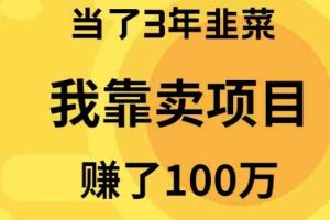 （10149期）当了3年韭菜，我靠卖项目赚了100万-凌秋网创