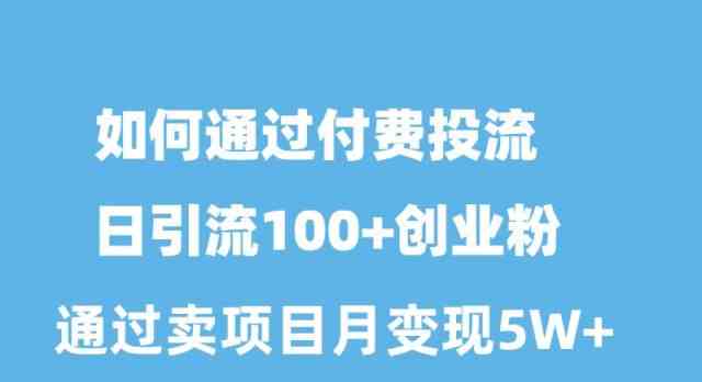 （10189期）如何通过付费投流日引流100+创业粉月变现5W+-凌秋网创
