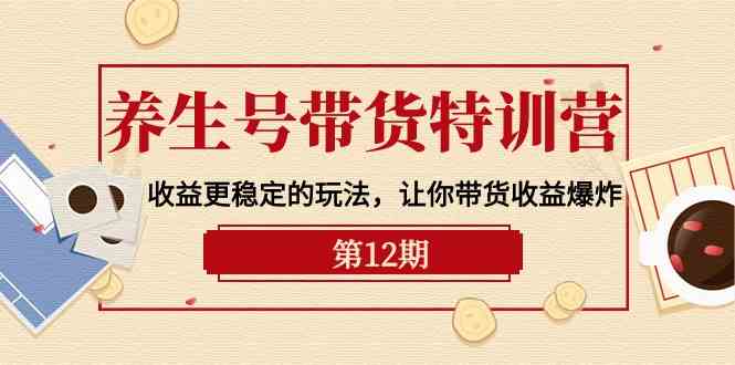 （10110期）养生号带货特训营【12期】收益更稳定的玩法，让你带货收益爆炸-9节直播课-凌秋网创