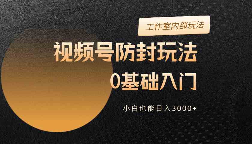 （10107期）2024视频号升级防封玩法，零基础入门，小白也能日入3000+-凌秋网创