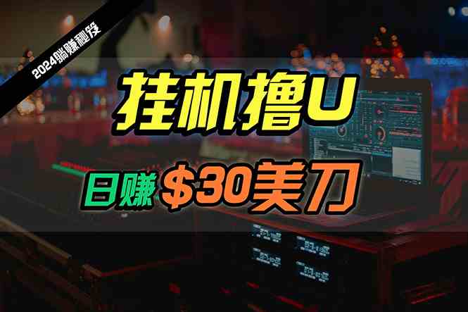（10013期）日赚30美刀，2024最新海外挂机撸U内部项目，全程无人值守，可批量放大-凌秋网创
