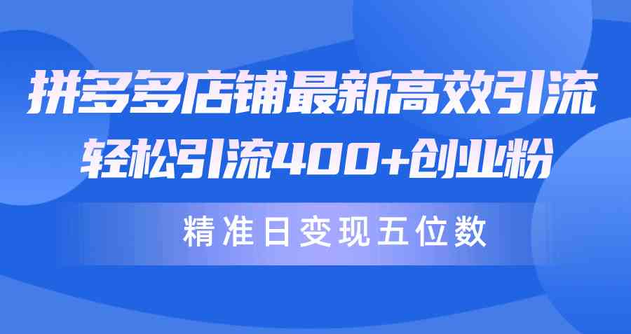 （10041期）拼多多店铺最新高效引流术，轻松引流400+创业粉，精准日变现五位数！-凌秋网创