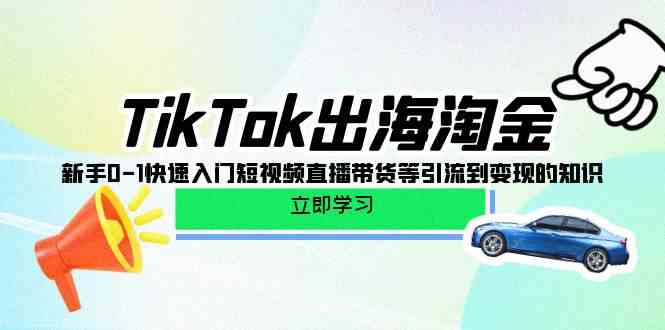 （10035期）TikTok-出海淘金，新手0-1快速入门短视频直播带货等引流到变现的知识-凌秋网创
