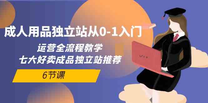 （10082期）成人用品独立站从0-1入门，运营全流程教学，七大好卖成品独立站推荐-6节课-凌秋网创