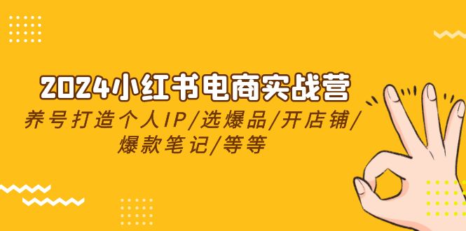 （10375期）2024小红书电商实战营，养号打造IP/选爆品/开店铺/爆款笔记/等等（24节）-凌秋网创