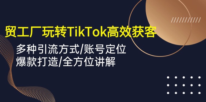 （10302期）外贸工厂玩转TikTok高效获客，多种引流方式/账号定位/爆款打造/全方位讲解-凌秋网创