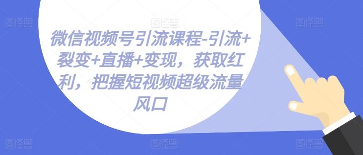 微信视频号引流课程-引流+裂变+直播+变现，获取红利，把握短视频超级流量风口-凌秋网创