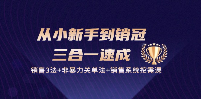 （10799期）从小新手到销冠 三合一速成：销售3法+非暴力关单法+销售系统挖需课 (27节)-凌秋网创