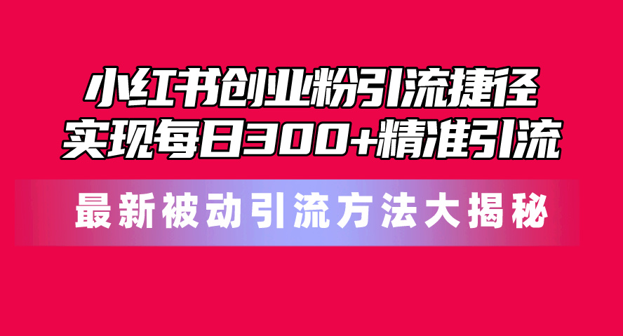 （10692期）小红书创业粉引流捷径！最新被动引流方法大揭秘，实现每日300+精准引流-凌秋网创