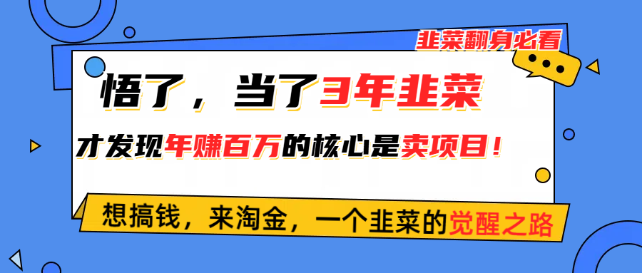 （10759期）悟了，当了3年韭菜，才发现网赚圈年赚100万的核心是卖项目，含泪分享！-凌秋网创