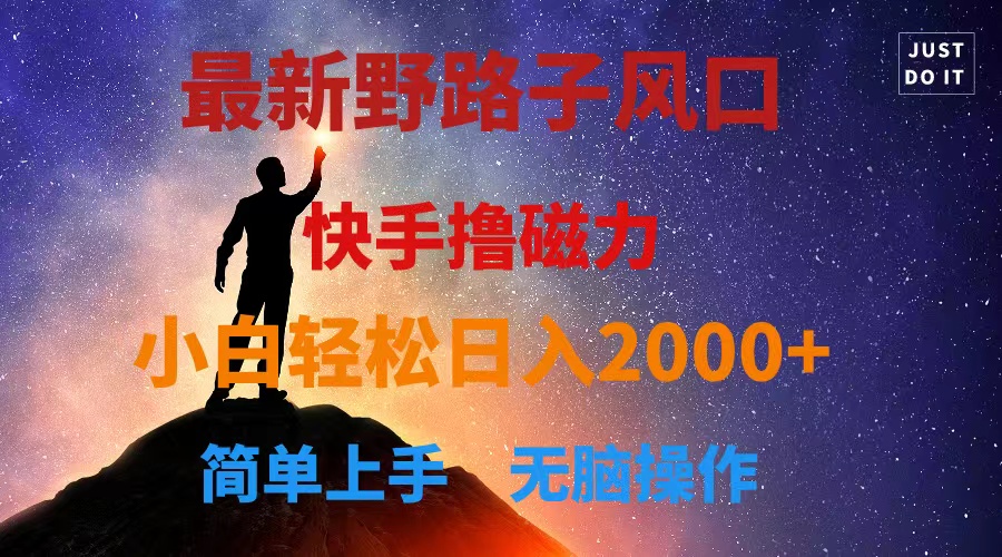 （10754期）最新风口！快手撸磁力，野路子，小白无脑操作日入2000+-凌秋网创