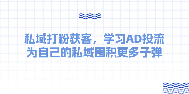 （10728期）某收费课：私域打粉获客，学习AD投流，为自己的私域囤积更多子弹-凌秋网创